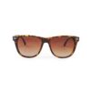 Sunglasses 1