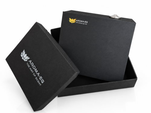 Aroma Medium-S 2.1